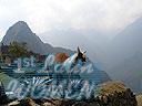 Machu-Picchu-008